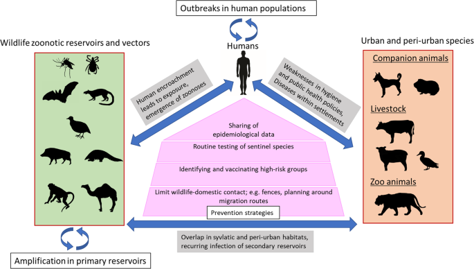 Research Update